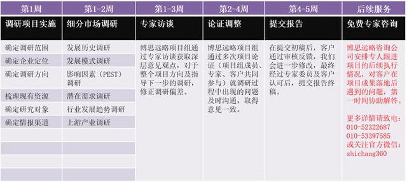 商务信息咨询：洞察市场趋势，助力企业腾飞
